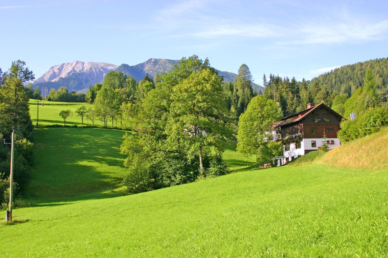 Appartement Gaisriegl Vorderstoder